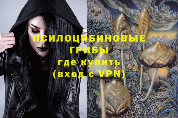 крисы Алзамай