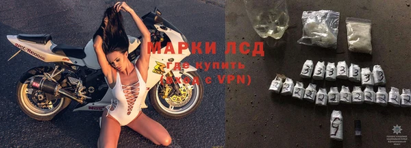 крисы Алзамай