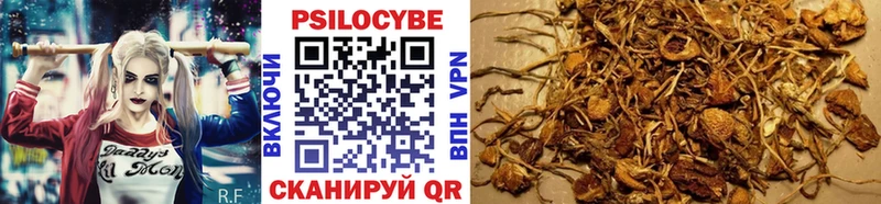 Псилоцибиновые грибы мицелий  Геленджик 