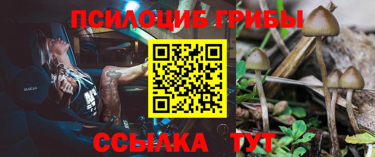 Геленджик  Псилоцибиновые грибы GOLDEN TEACHER  Галлюциногенные грибы мухоморы  Вход с VPN 