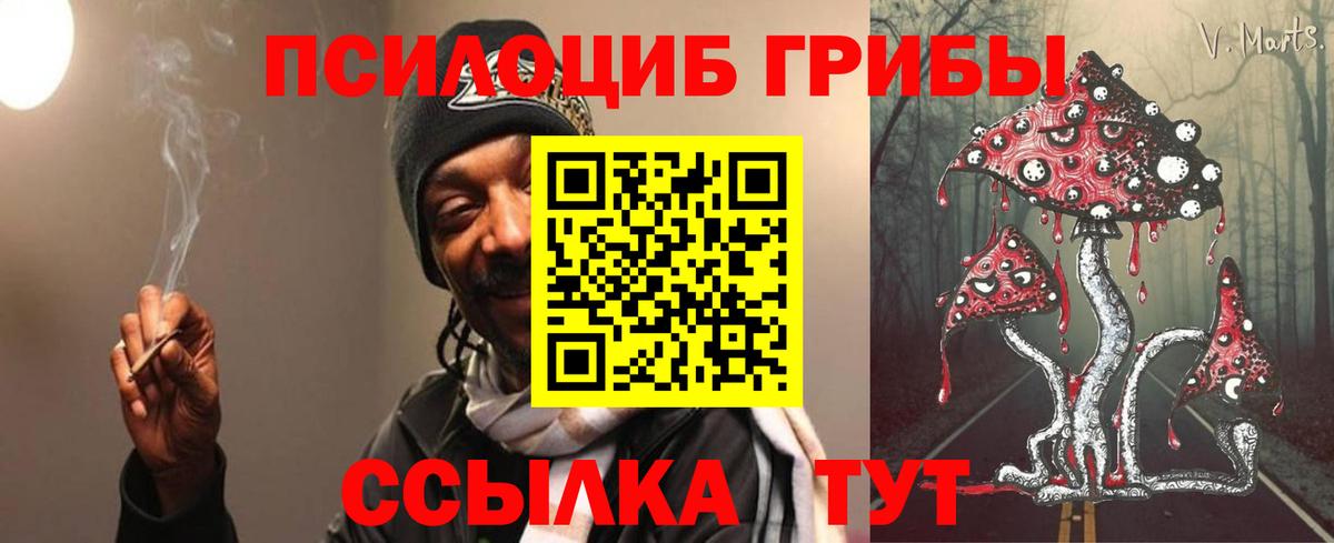 Галлюциногенные грибы Cubensis Геленджик